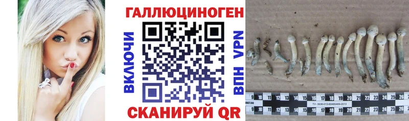 сколько стоит  Сызрань  Псилоцибиновые грибы мицелий 